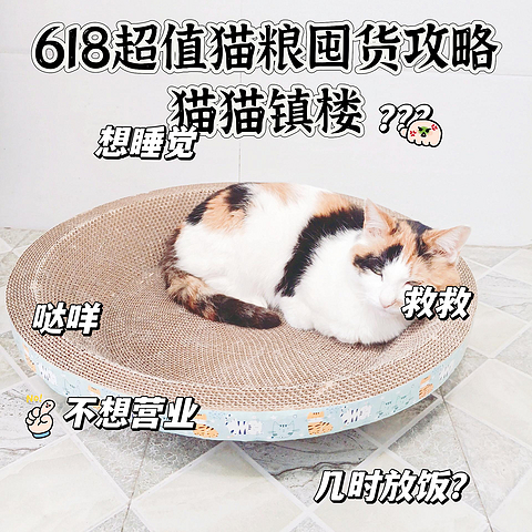 618超值猫粮囤货攻略应有尽有