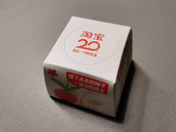 淘宝20周年未来种子
