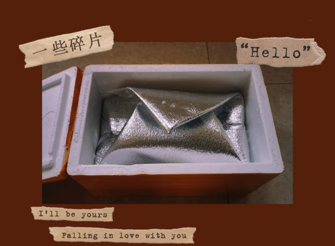 拾小鹿虾类