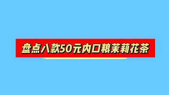 茶叶篇丨盘点8款50元以内的口粮茉莉花茶