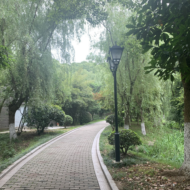 你有去公园晨练的习惯吗？