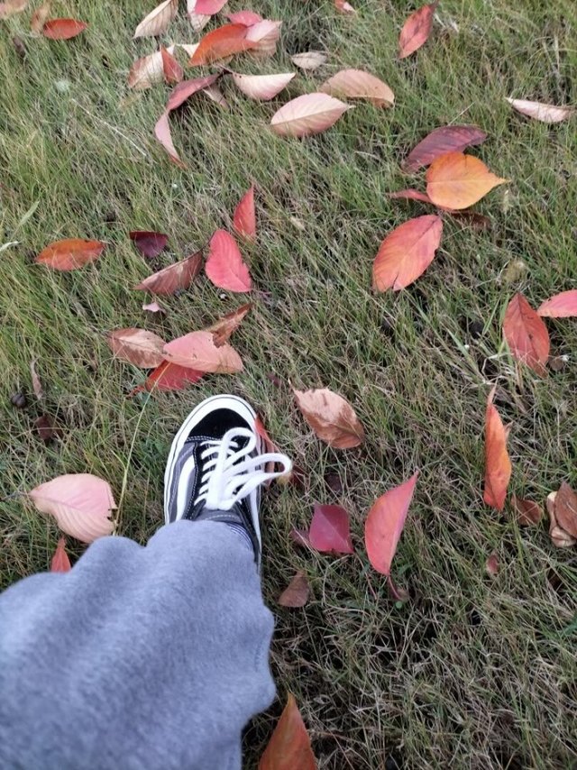 鞋子穿着很舒服，走路不累，样子也蛮好看，