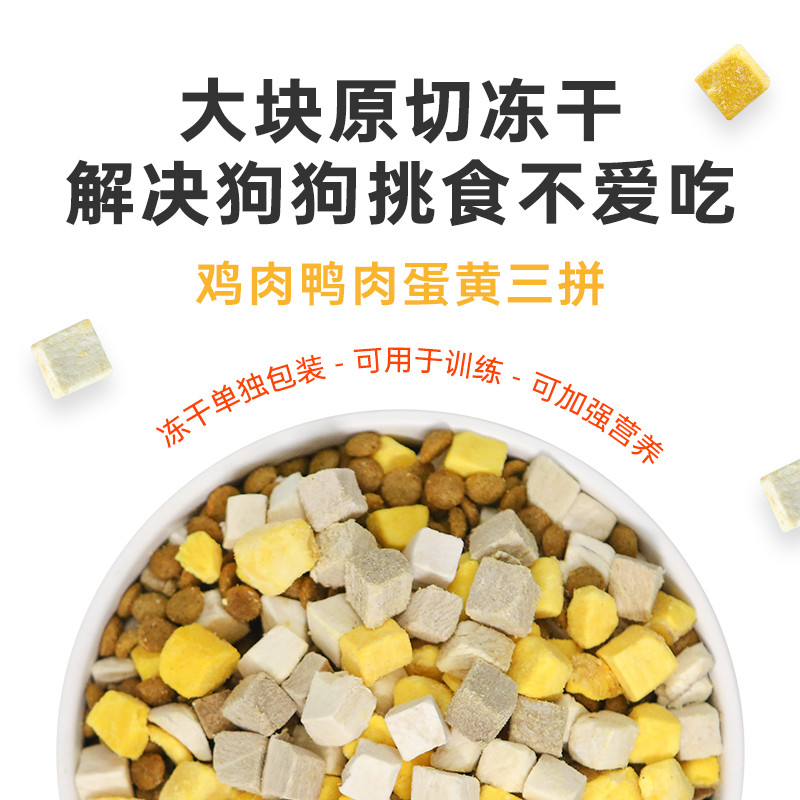 给猫咪喂干粮更好，还是湿粮更好？