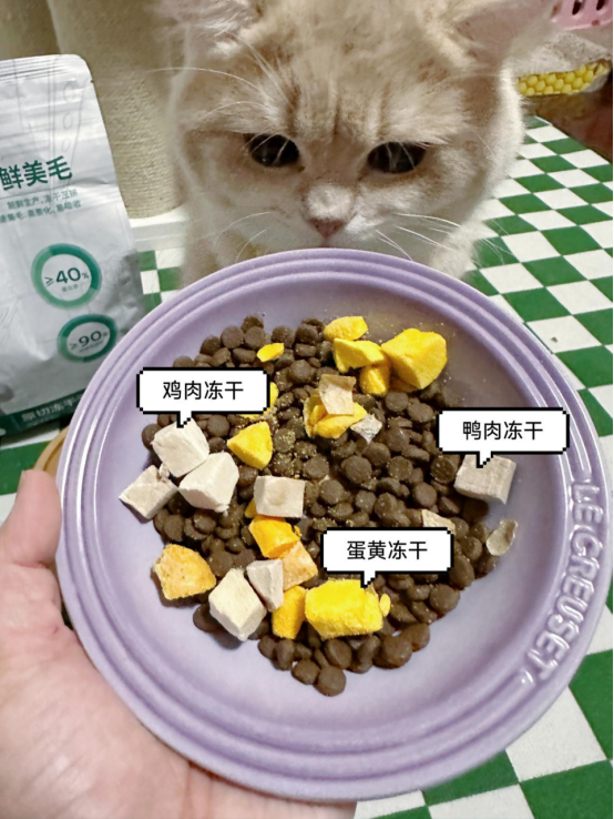 猫粮