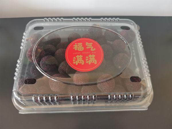 圆润饱满、生津止渴—杨梅
