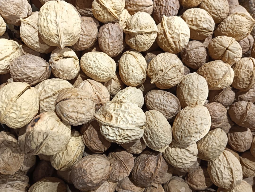 云南大姚野生纸皮薄壳核桃