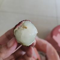 第一波妃子笑荔枝,3分酸7分甜