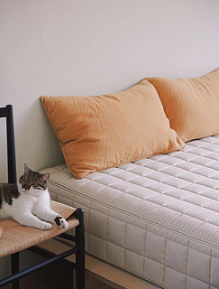 这张床垫💯养宠人士福音！安全好睡！