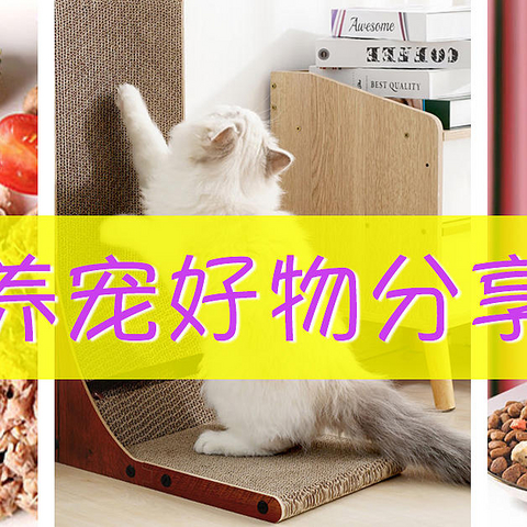 618好物分享之：猫猫用品专场！