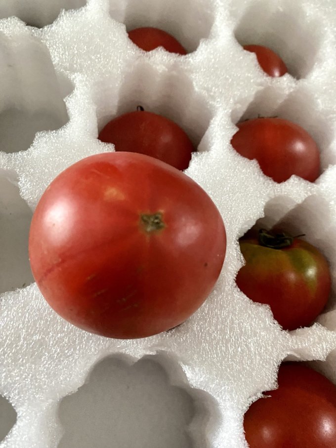 密水农家蔬菜