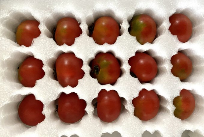 密水农家蔬菜