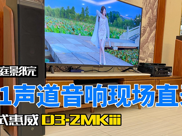 家庭影院音箱惠威D3.2MKiii用前后级推太爽了