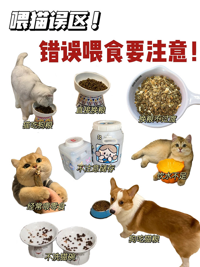 猫粮