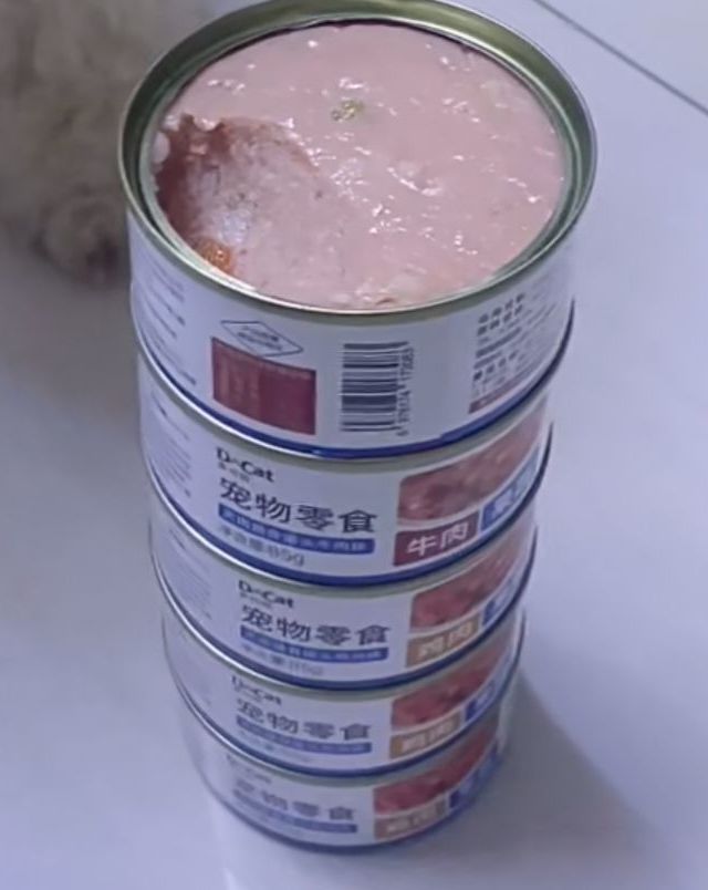 狗狗的好伴侣