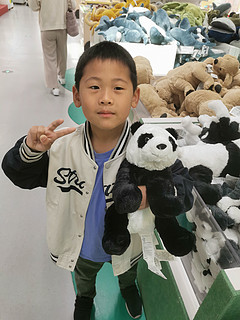 大熊猫的玩偶简直太可爱了