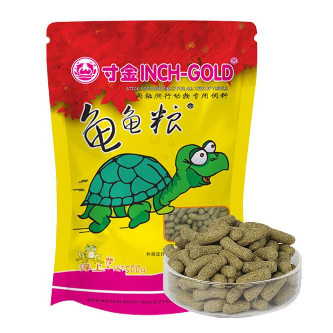 折腾半年,实现龟菜共生种草莓