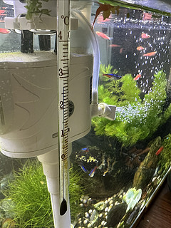 鱼缸水温温度计