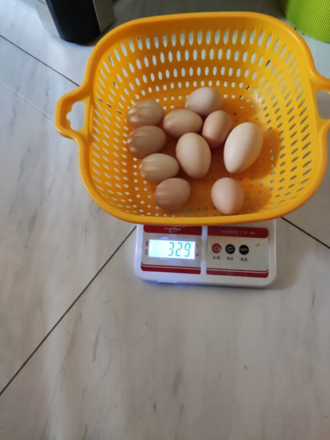 万力睿蛋类