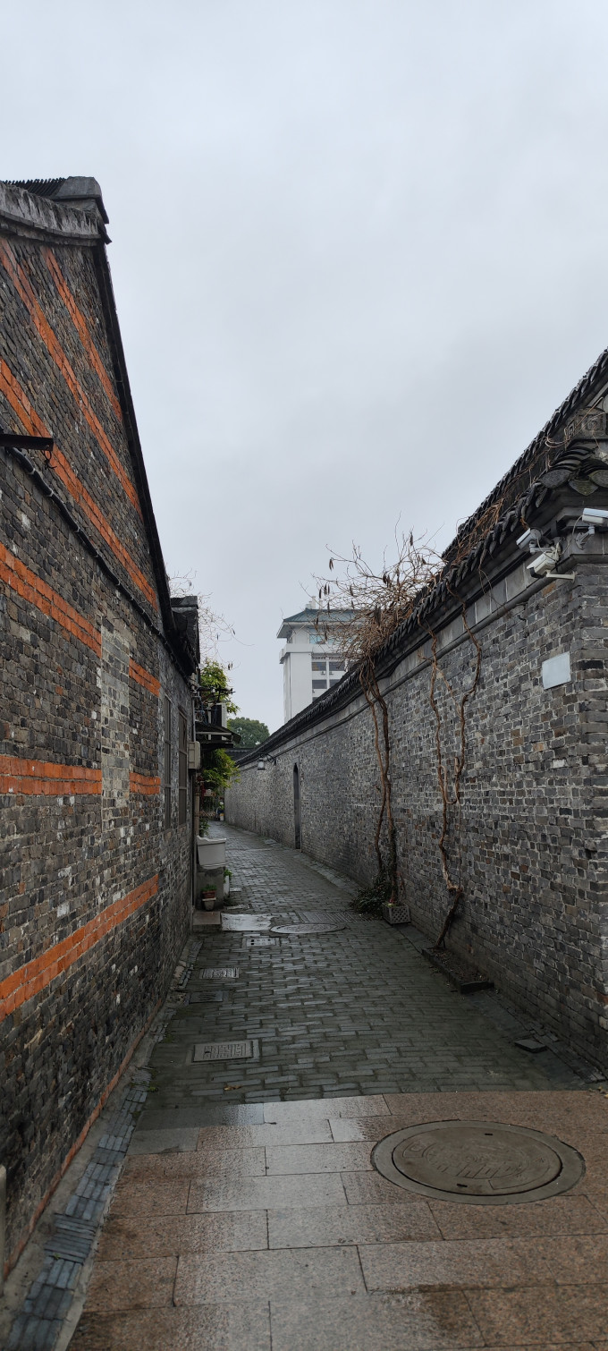 扬大低温酸奶