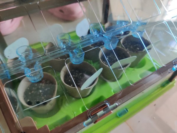 好朋友的孩子生日，作为生日礼物赠送给她，