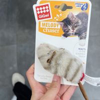 猫咪解闷神器