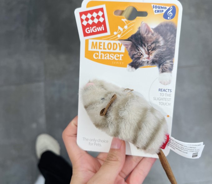 贵为猫玩具