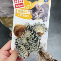 猫咪可以玩一下午的玩具