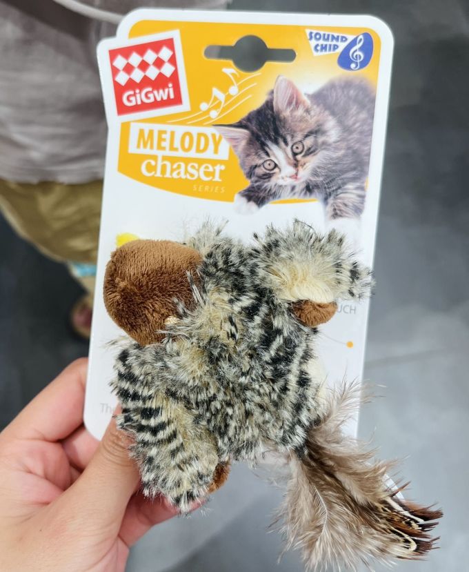 贵为猫玩具