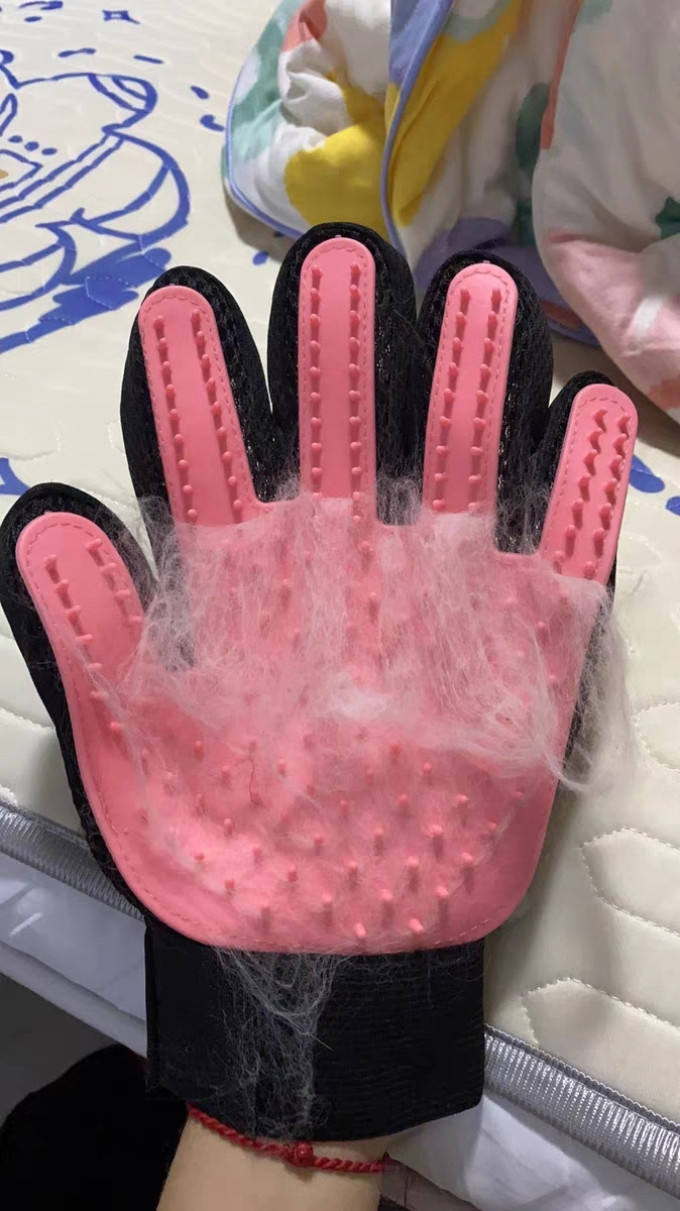 宠物美容工具