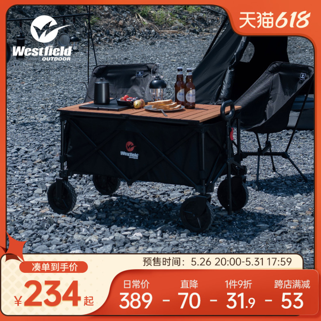 我飞露营车预售价低于618!一共4款到底怎么选?帮你分析分析~新露营人嗨起来!