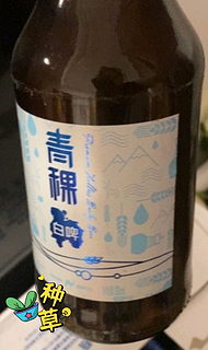 青海湖啤酒 青稞白啤330ml*24瓶整箱装