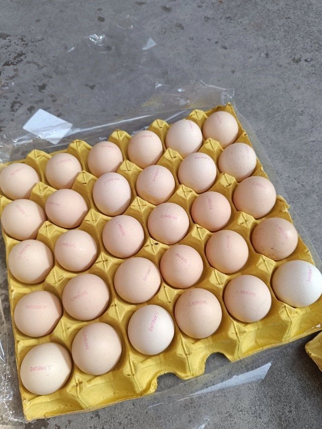 618你买鸡蛋了吗。🥚