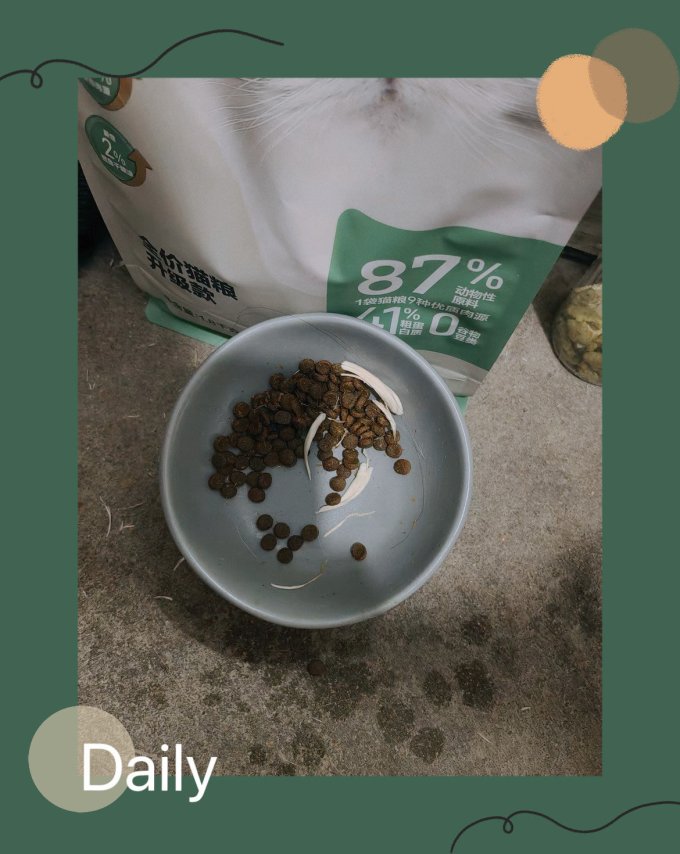 网易严选猫咪干粮