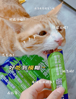 猫咪最爱的口粮