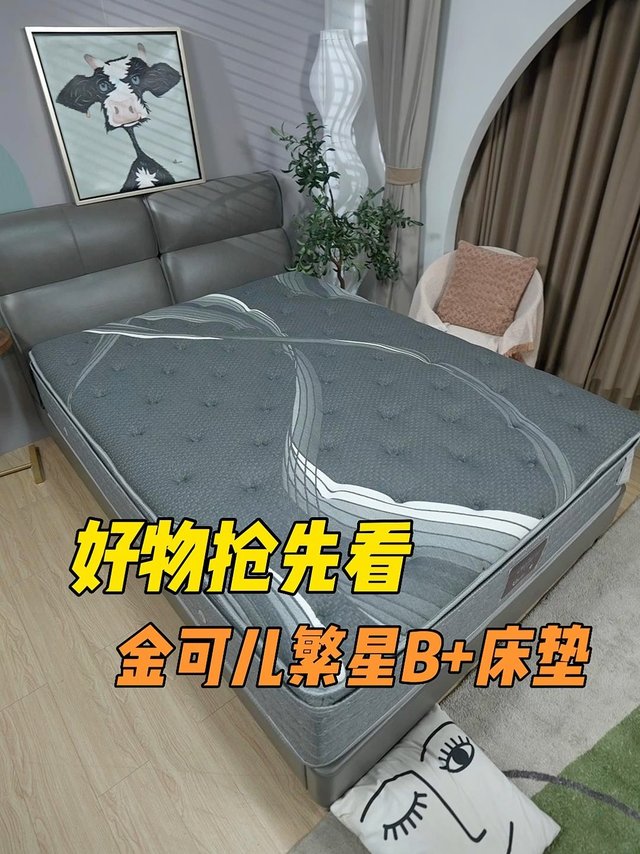 金可儿繁星B+大升级，五星酒店床垫搬回家