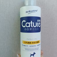 狗狗也是需要清理口腔滴