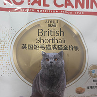 没养过猫不懂，猫粮需要按猫品种来选么