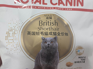 没养过猫不懂，猫粮需要按猫品种来选么