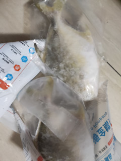 老公说，今天送你一朵鱼花花