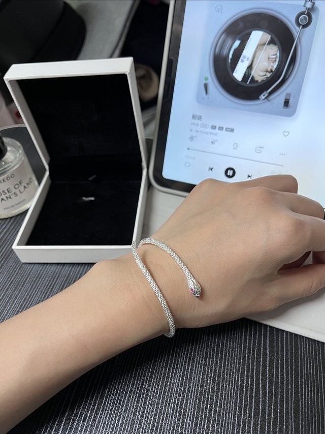 绝对会成为你心头爱的银首饰！！！