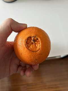 新奇士橙