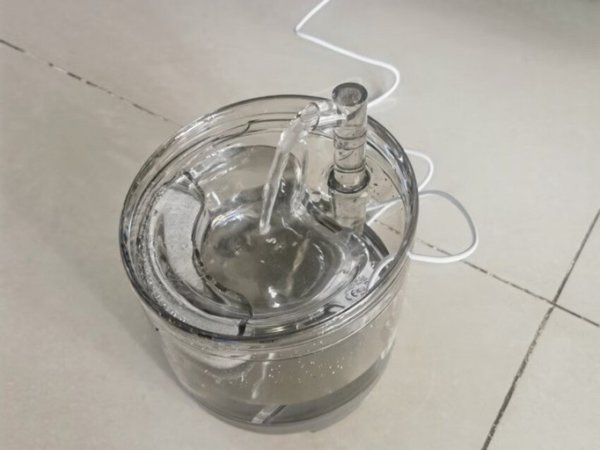 猫猫的事你少管