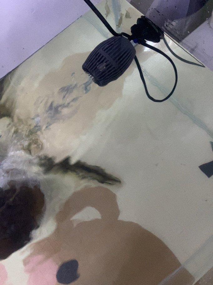 森森水族设备