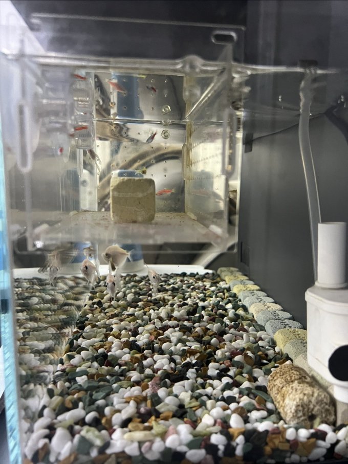 米家智能鱼缸/水族箱