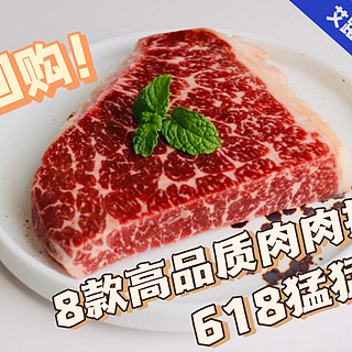 【跟着艾路买食材】 篇三十八：无限回购！8款超高品质的肉肉推荐，618加购买起来！