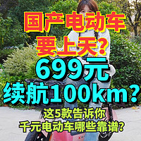 售价699续航100km？618的电动车真的这么顶？入门电动自行车到底能不能骑？这5款值得关注！