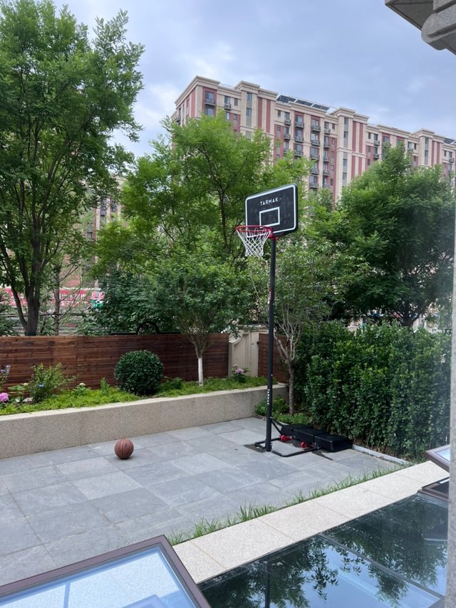 
标准高度篮球架，除了不能扣（我也扣不了