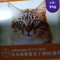 拜耳 爱沃克 猫用驱虫药
