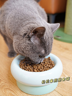 368元到手百利鸭肉猫粮，缓解泪痕真的有用