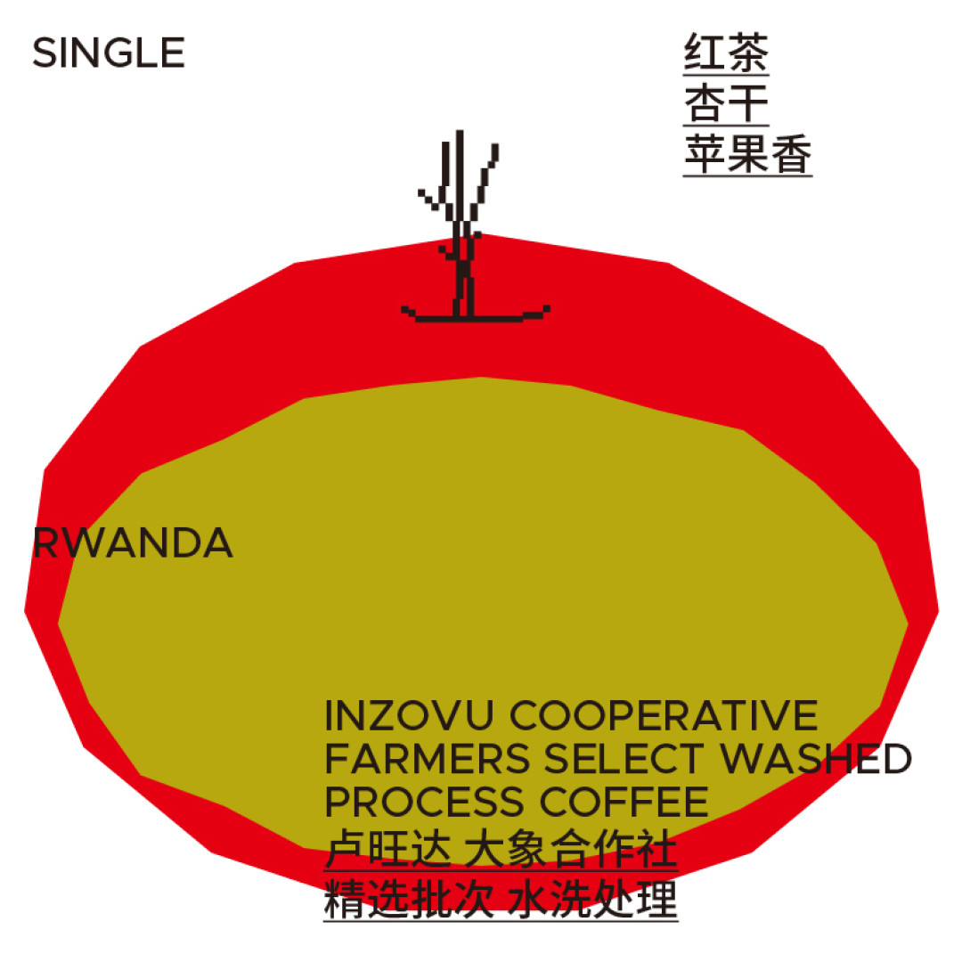 真实评测最近喝的4款咖啡豆,看看是种草还是避雷